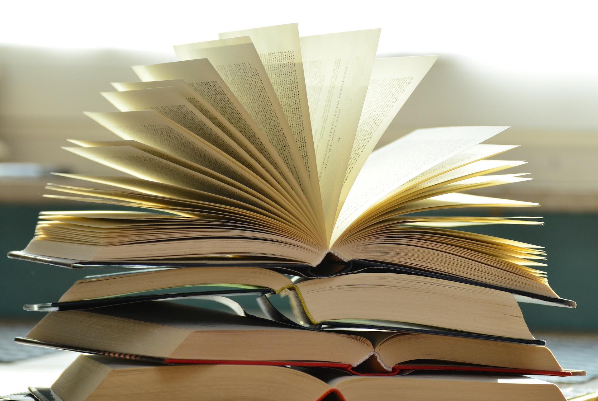 feria-del-libro-21202020in2.jpg